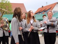 Maibaum 2016